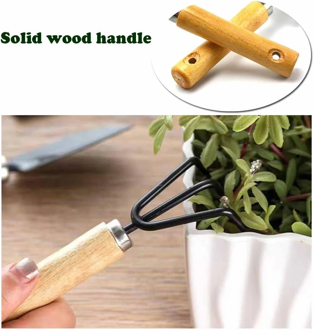 Conventional Garden Tools Minimalism Gardening Tool Set with Wood Handle, Succulent Plant Transplant Trowel, 3 Pieces Include 1 Narrow Trowel,1 Wide Trowel and 1 Garden Rake